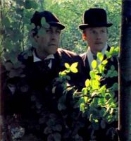 Шерлок Холмс и доктор Ватсон (1979)