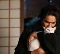 Самурай и кошка (2014)