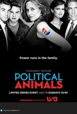 Политиканы / Искусство политики (2012)