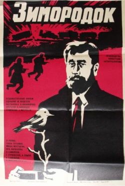 Зимородок (1972)