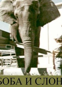 Боба и слон (1972)