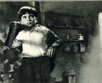 Бродяга (1951)