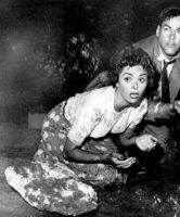 Вторжение похитителей тел (1955)