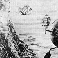 Тайна острова Бэк-Кап (1958)