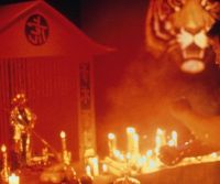 Коготь тигра (1991)